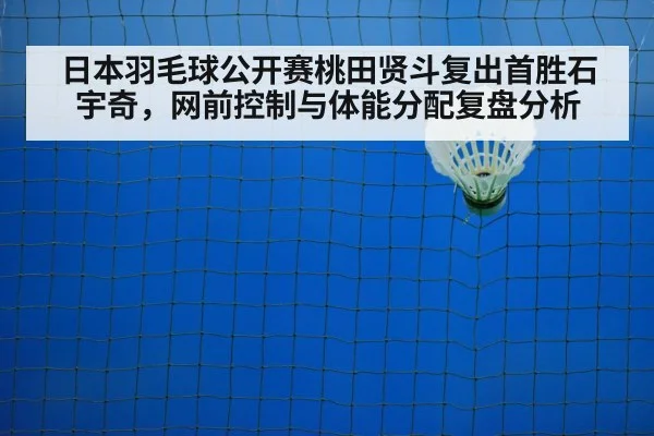 badminton net play